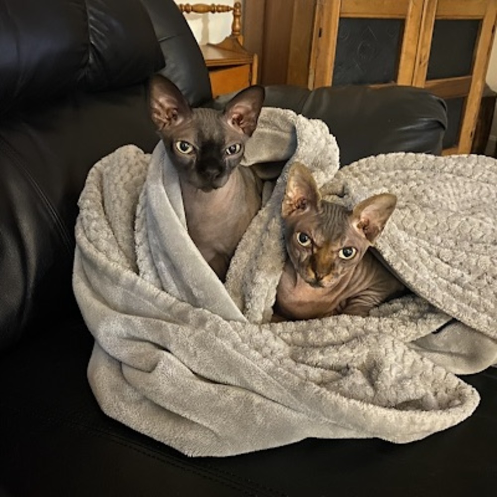 Meet your Posher, Tracy